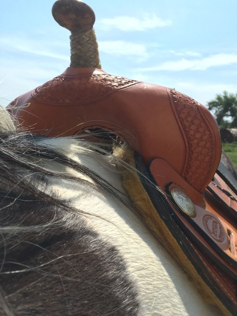 Saddle Lifts at Back (Western) The Horse Forum